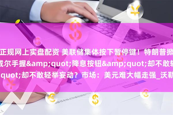 正规网上实盘配资 美联储集体按下暂停键！特朗普掀起的关税大战，鲍威尔手握&quot;降息按钮&quot;却不敢轻举妄动？市场：美元难大幅走强_沃勒_通胀_政策
